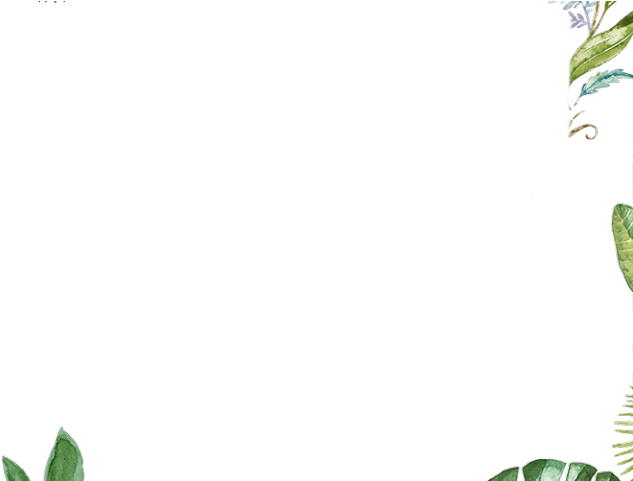 Drawn Leaves Leaf Border Png - Illustration Clipart (640x480), Png Download