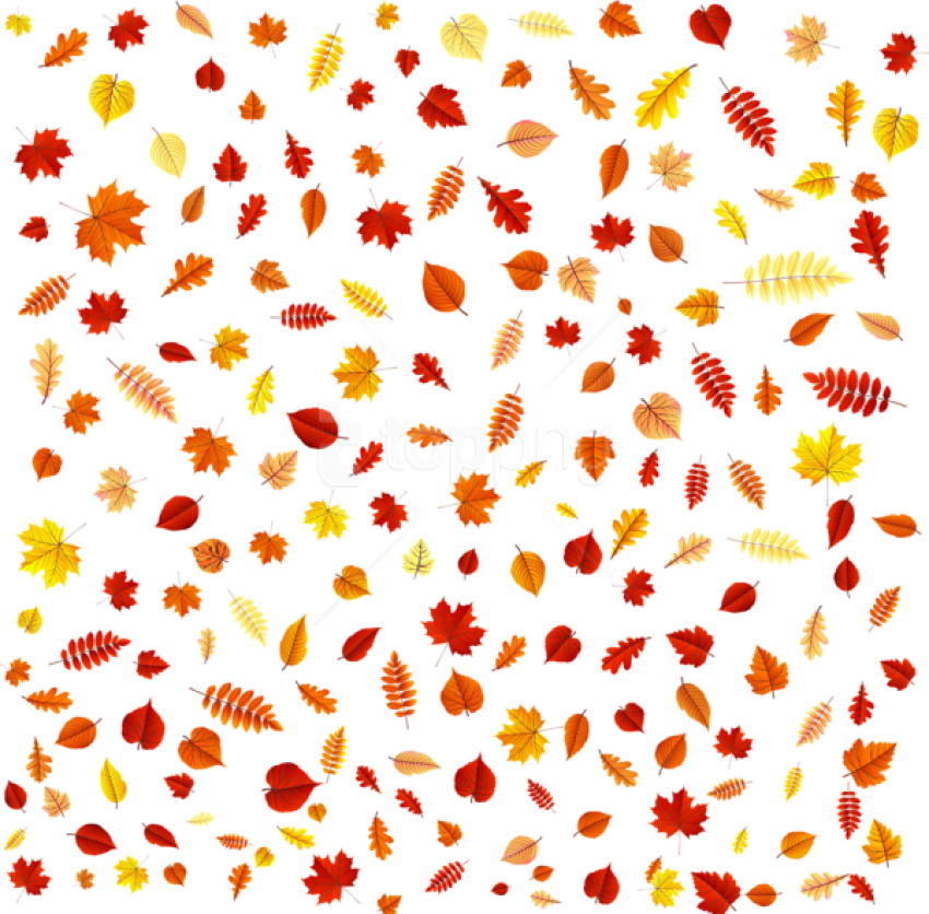 Free Png Download Fall Leaves Overlay Clipart Png Photo - Overlay Fall Leaves Png Transparent Png (850x836), Png Download