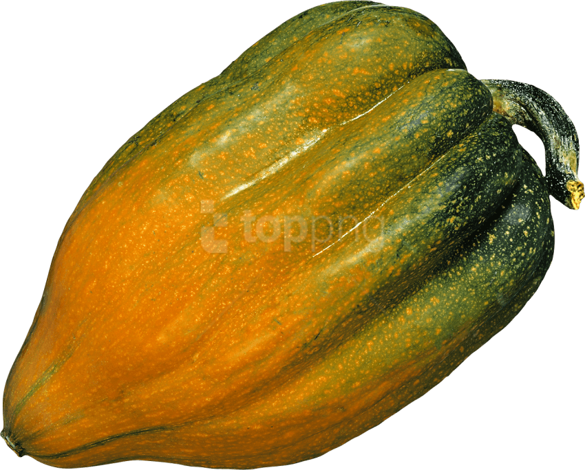 Free Png Pumpkin Png Images Transparent - Acorn Meaning In English Clipart (850x684), Png Download