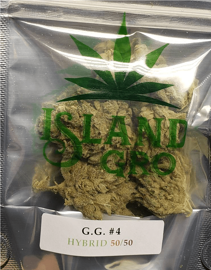 Plantation Clipart (980x2016), Png Download