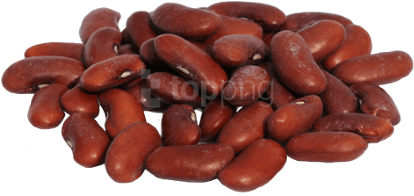 Free Png Download Kidney Beans Png Images Background - Png Beans Clipart (850x410), Png Download