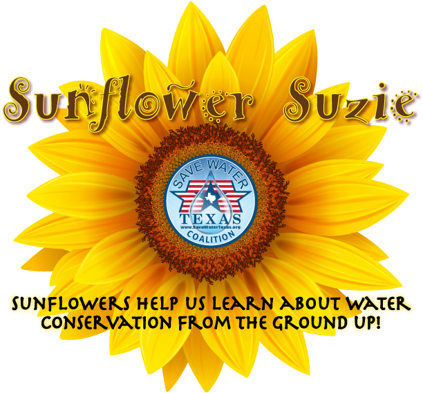 Girasol Clipart (650x650), Png Download