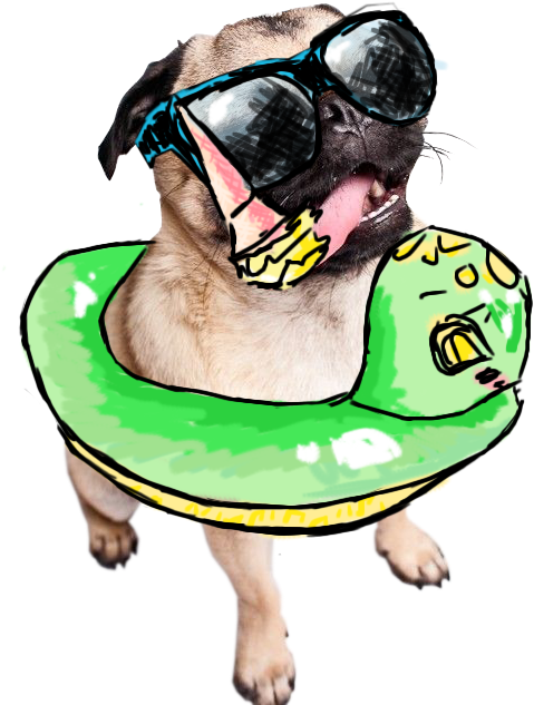Drawn Transparent Summer Pug - Summer Pug Art Png Clipart (500x750), Png Download