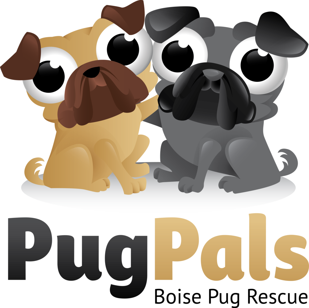 Pug Pals Rescue - Pug Pals Clipart (1000x998), Png Download