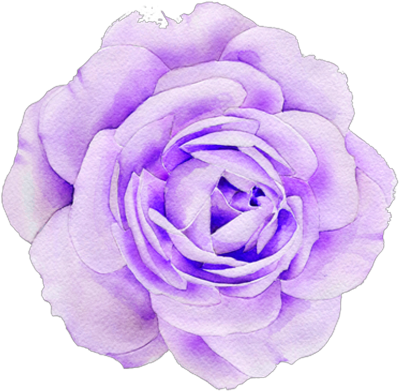 #purple #rose #roses #aesthetic #cute #tumblr - Flower Clipart (1024x1024), Png Download