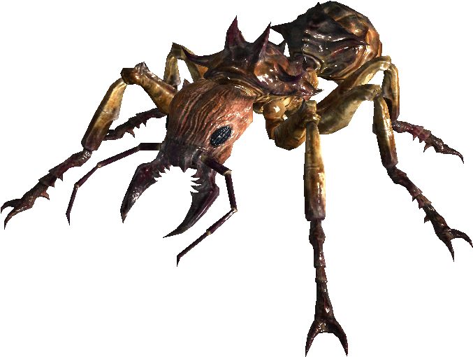 888 X 560 1 - Giant Ant Fallout Clipart (888x560), Png Download