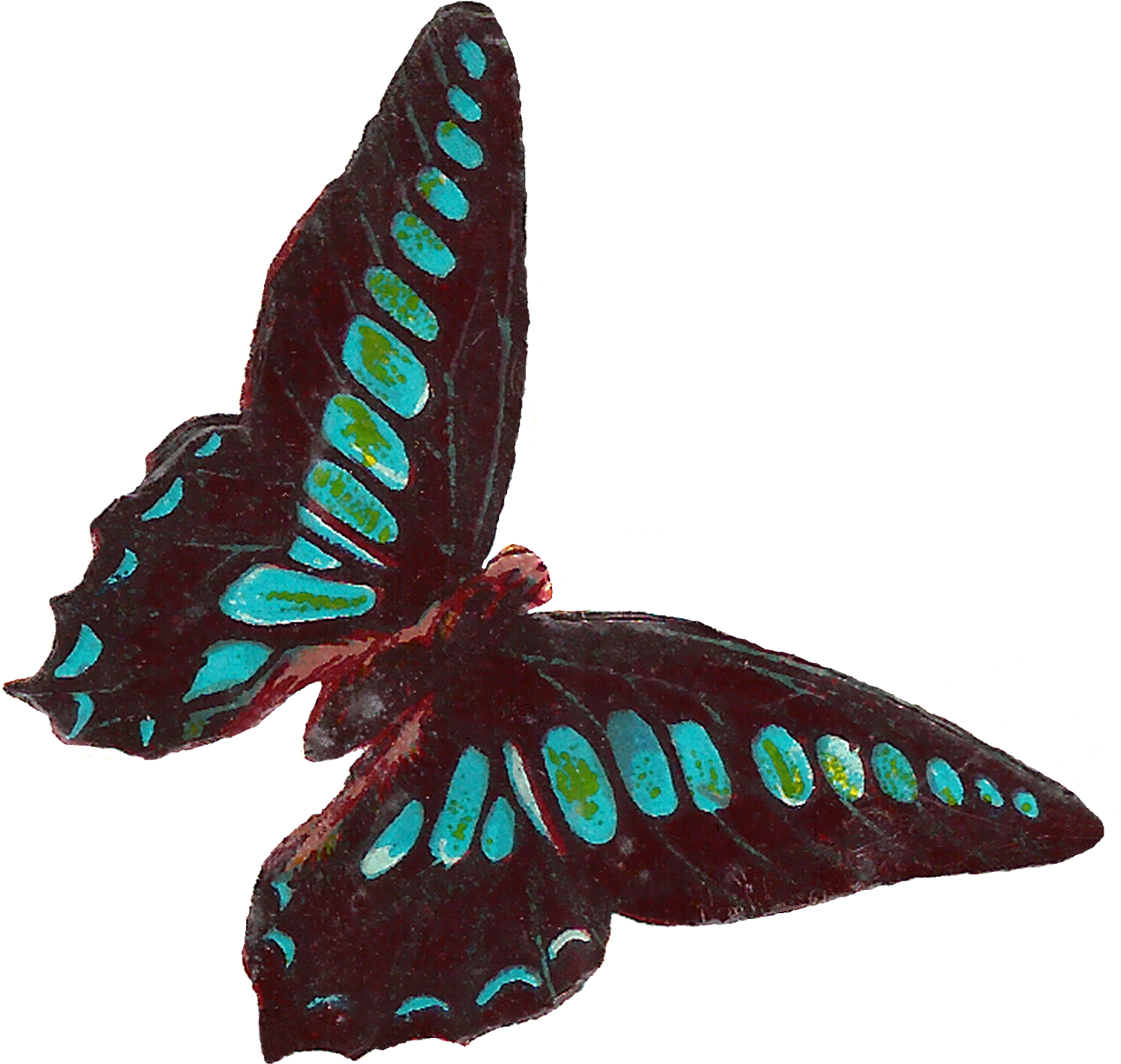 Digital Butterfly Moth Clip Art Downloads - Victorian Butterfly Clipart - Png Download (1600x1566), Png Download