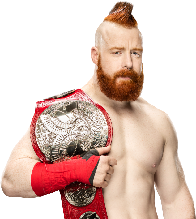 Sheamus Png Transparent Picture - Cesaro And Sheamus Tag Team Champions Png Clipart (1000x707), Png Download
