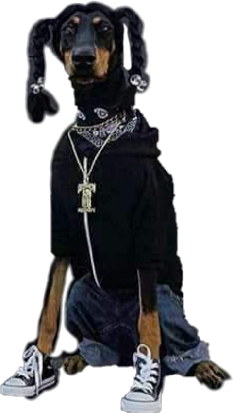 Snoop Dogg , Png Download Clipart (480x848), Png Download