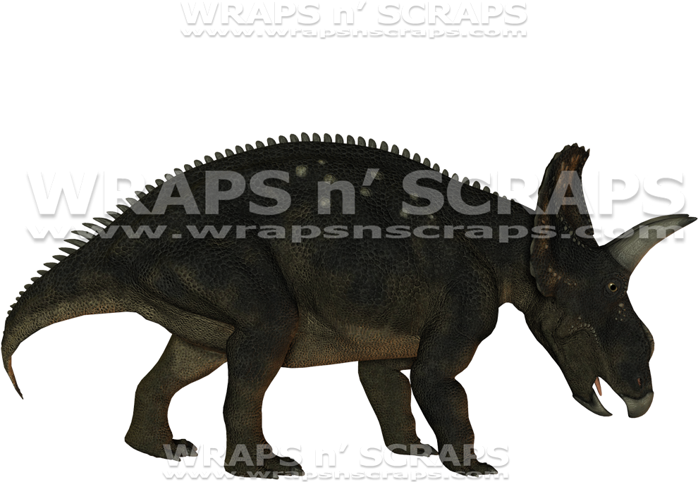 Triceratops Clipart (1000x1021), Png Download