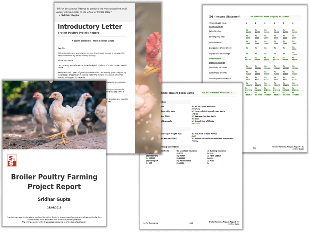 Broiler Farming Project Report Pdf - Chicken Clipart (1024x770), Png Download