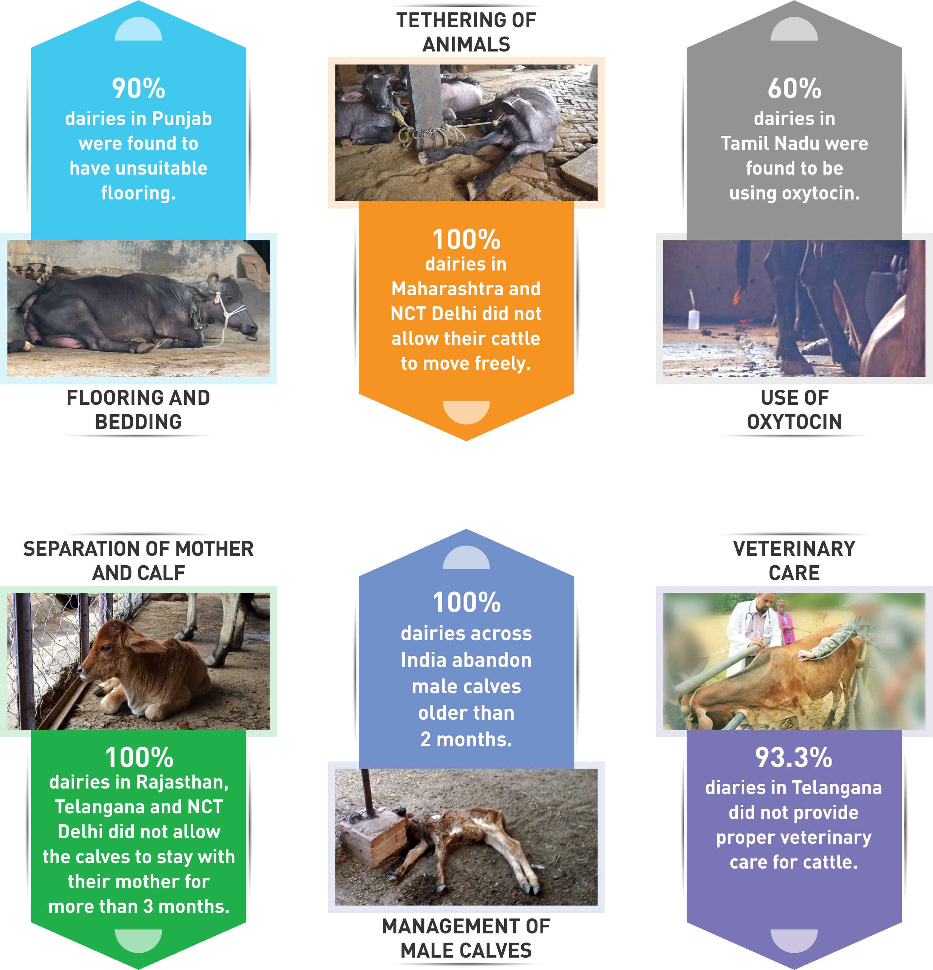 Pest Clipart (3007x3127), Png Download