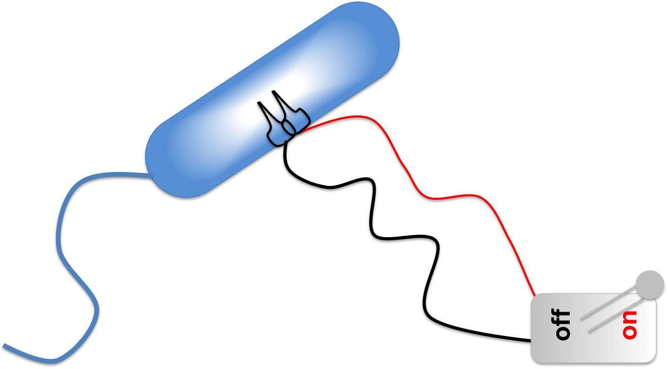 Bacterial Kill Switch Clipart (1312x725), Png Download