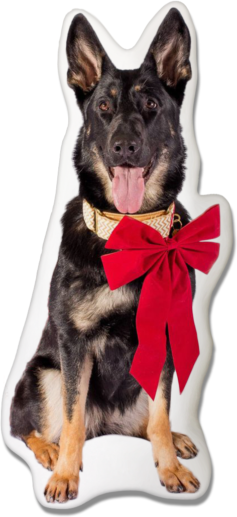 German Shepherd Christmas Pillow Clipart (472x1029), Png Download