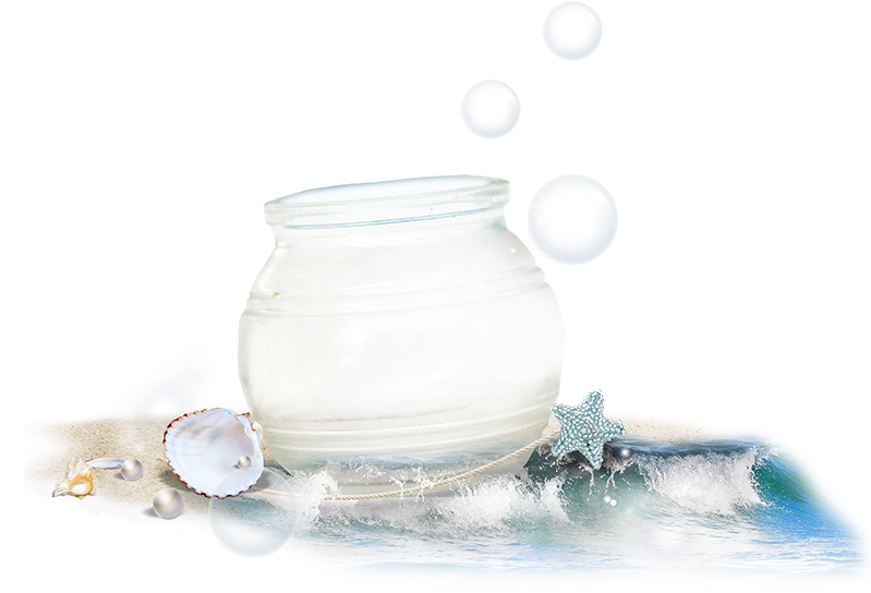 Still Life Photography Clipart (800x800), Png Download