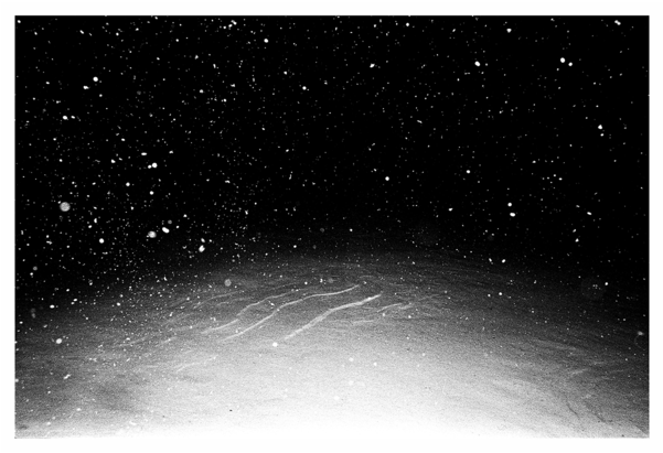 Star Clipart (600x600), Png Download