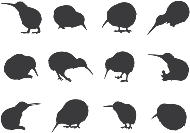 Bird Silhouettes Png - Kiwi Bird Vector Free Clipart (700x490), Png Download
