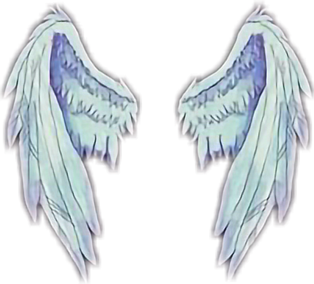 Wings Sticker - Patch Cipriano Travis Maddox Clipart (1024x927), Png Download