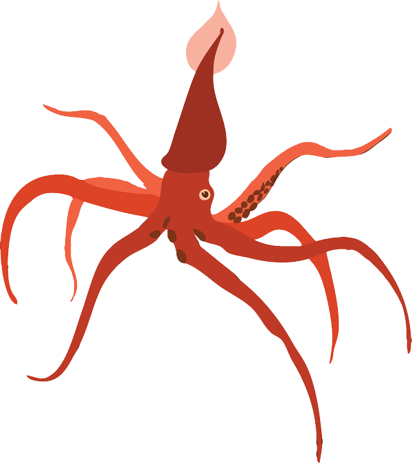 Octopus Clipart (600x674), Png Download