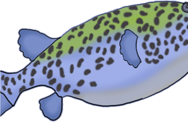 Underwater Clipart School Fish - Clip Art - Png Download (640x480), Png Download