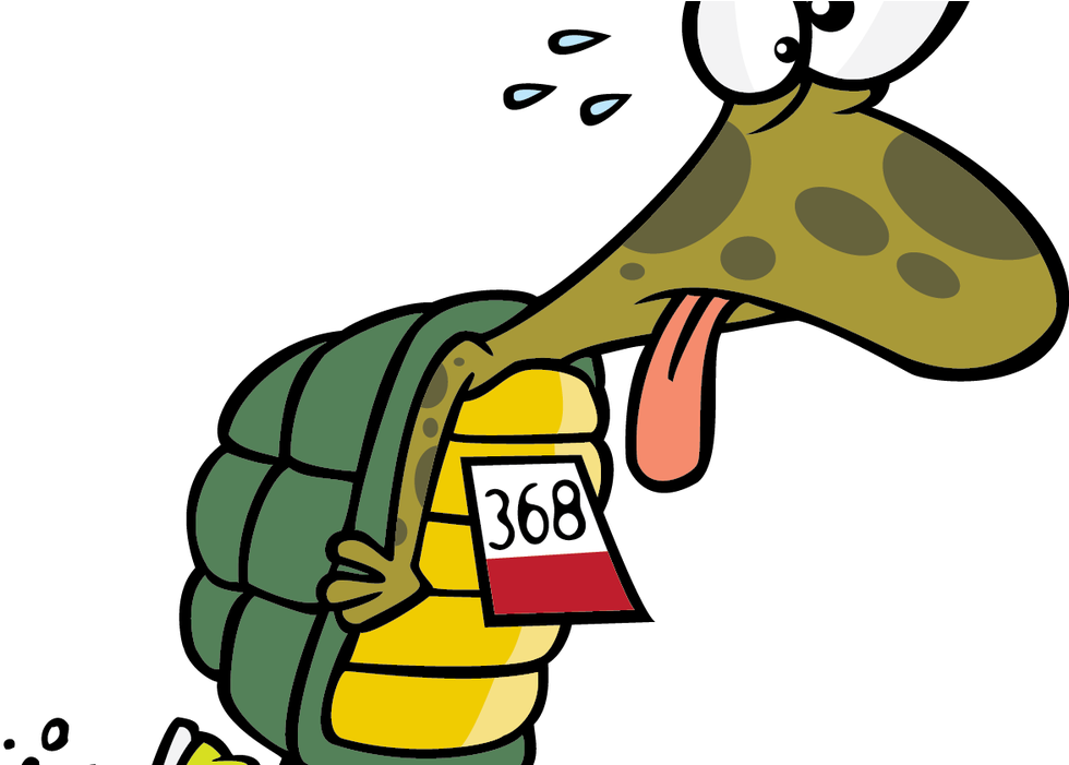 Slow Clipart Slow Runner - Turtle Runner - Png Download - Large Size Png  Image - PikPng
