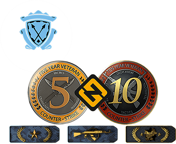 Csgo 5 & 10 Year Veteran Coin Ranked Prime Accounts - 10 Years Csgo Clipart (600x600), Png Download