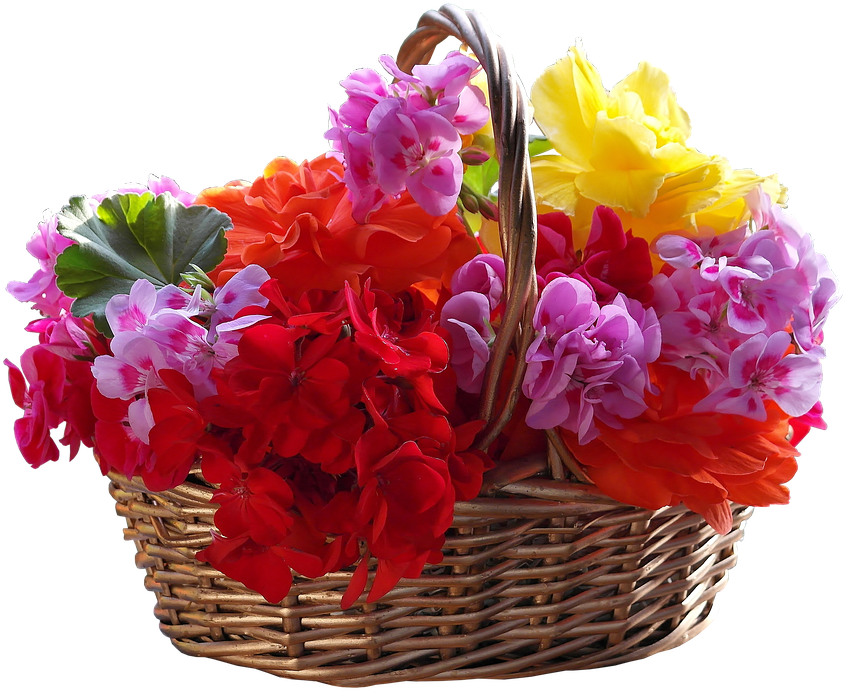 Bouquet Of Flowers Png - Basket Of Flowers Png Clipart (877x720), Png Download
