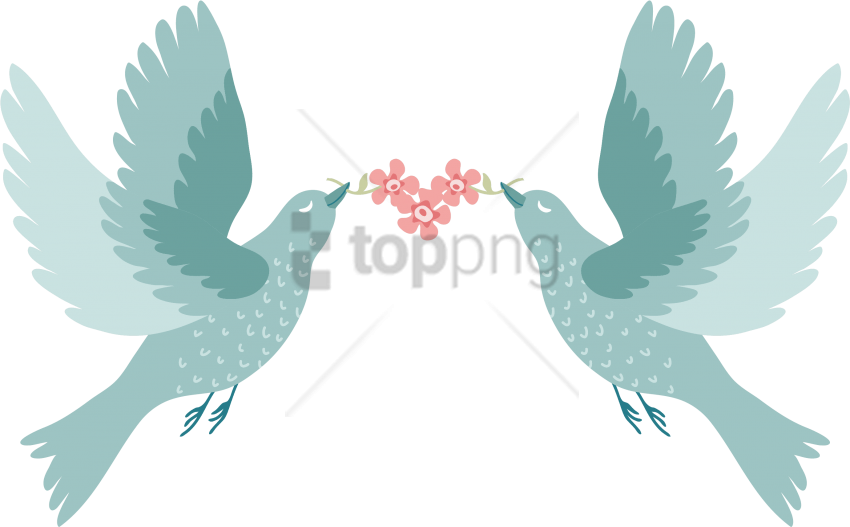 Free Png Love Birds For Wedding Png Image With Transparent - Bird Png Clipart (850x527), Png Download