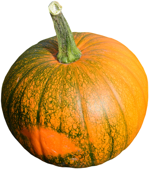 Cocumber Vegetable Fruit - Pumpkin Clipart (1280x853), Png Download