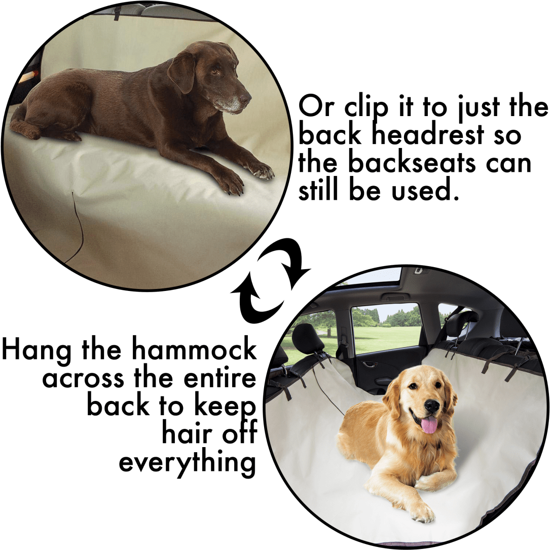 Companion Dog Clipart (1104x1104), Png Download
