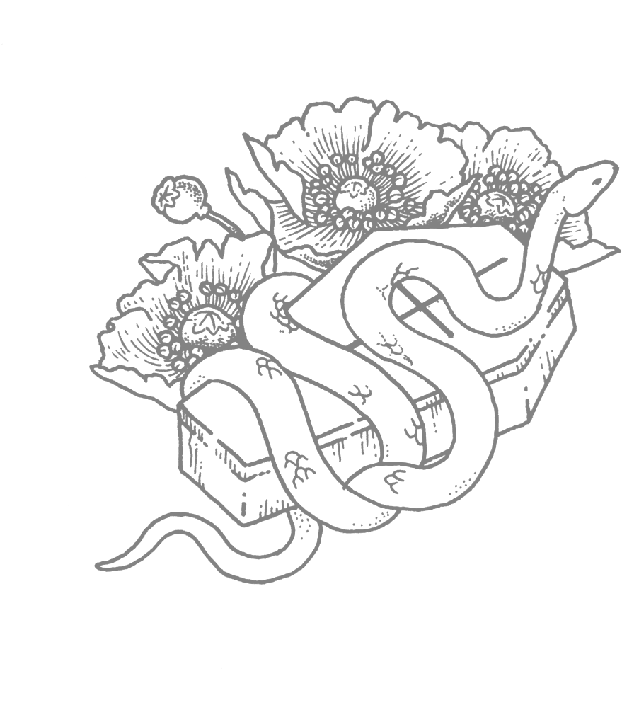 Inktober Day 12 Coffin - Illustration Clipart (1000x1000), Png Download