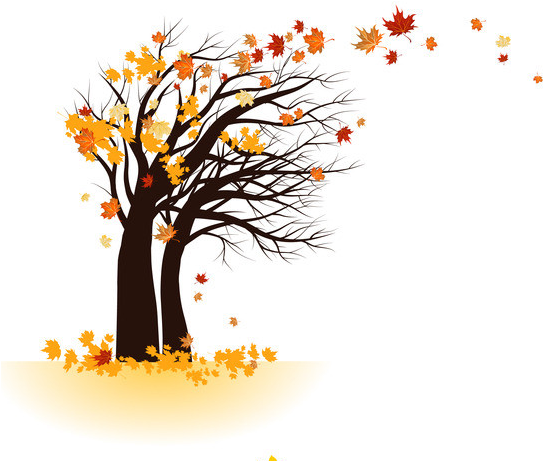 Autumn Trees, Autumn Leaves, Autumn Painting, Tree - Árbol Otoño Acuarela Png Clipart (582x604), Png Download