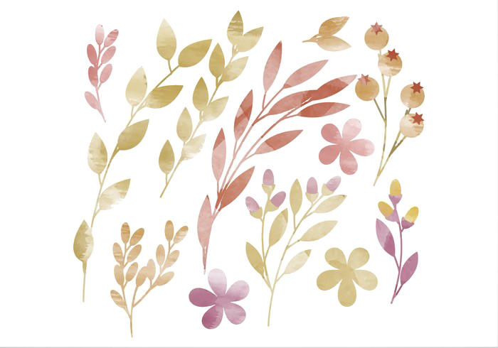 Watercolor Vector Download Transparent Png Image - Flower Acquarel Png Clipart (700x490), Png Download