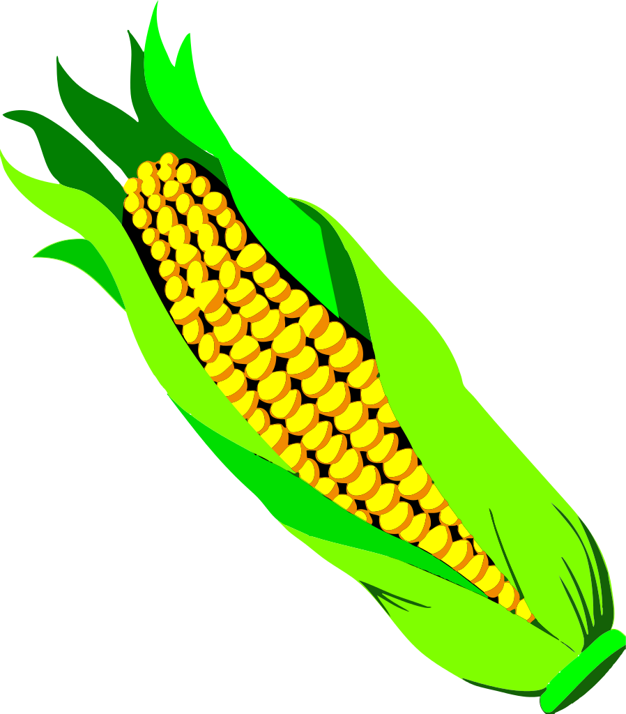 Ear Of Corn - Vegetable Clip Art - Png Download (898x1024), Png Download