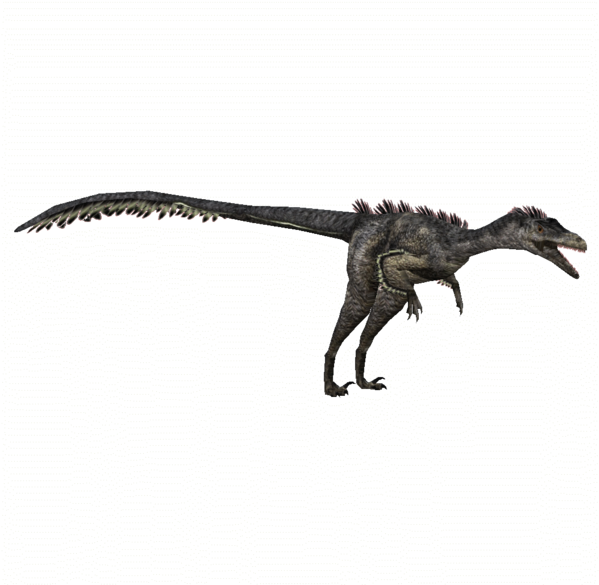 Velociraptor Remake - Velociraptor Mongoliensis Jurassic Park Clipart (600x600), Png Download