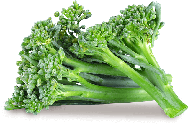 Baby Broccoli - Broccoli Clipart (860x579), Png Download