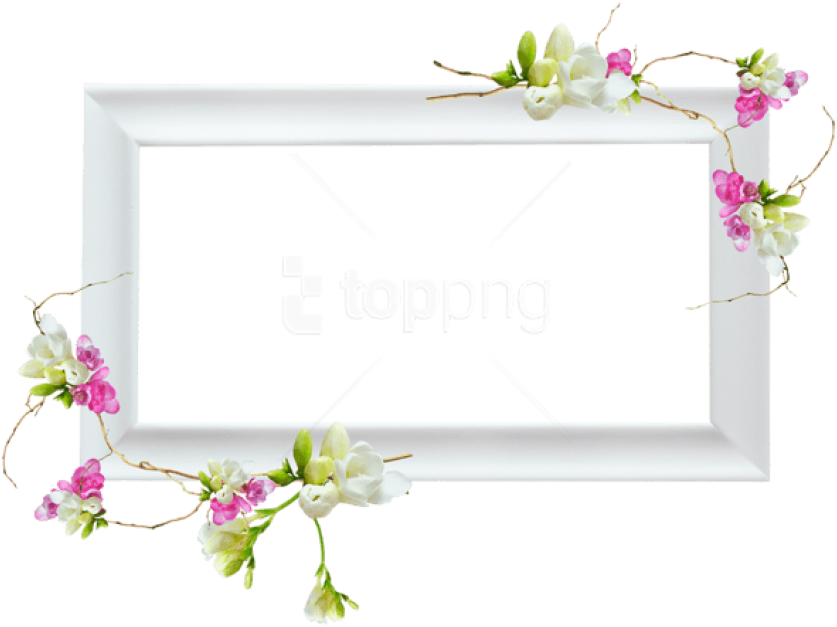 Free Png White Transparent Frame With Pink Flowers - Orchid Clipart (850x644), Png Download