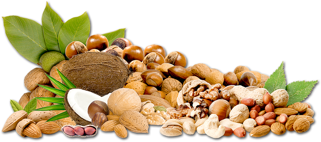 Dried Fruits - Almond Clipart (1116x500), Png Download