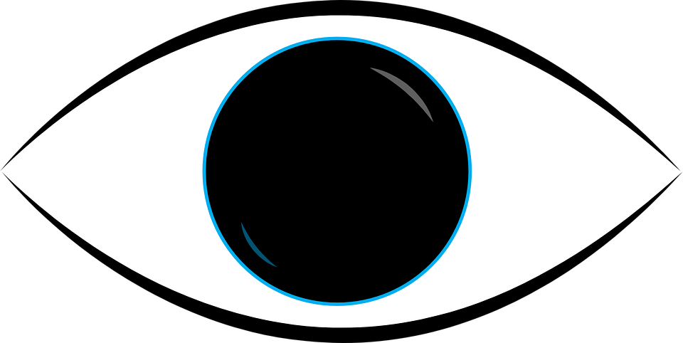 Vector Eyes Png - See Vector Clipart (960x482), Png Download