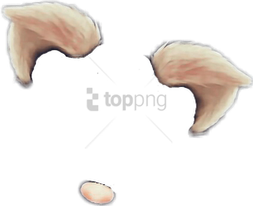 Download Free Png Snapchat Filter Cat Ears Png Image With Transparent