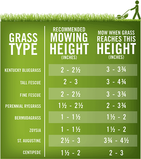 Lawn-mowing Height Chart - Grass Mowing Height Clipart (600x695), Png Download