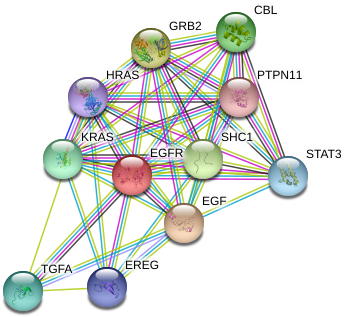 Circle Clipart (976x354), Png Download