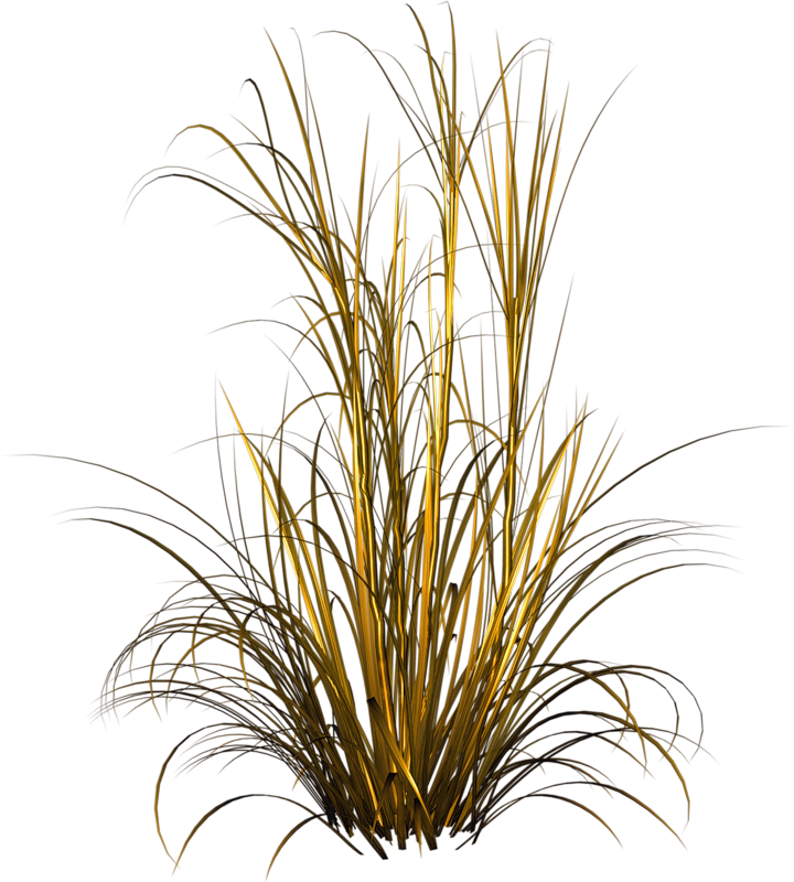 Designer Clothes, Shoes & Bags For Women - Free Grass Png Clipart (720x800), Png Download