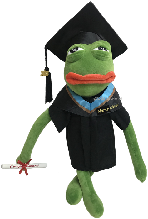 Pepe The Frog Polyu / Pepe The Frog理大畢業公仔 - Stuffed Toy Clipart (600x800), Png Download