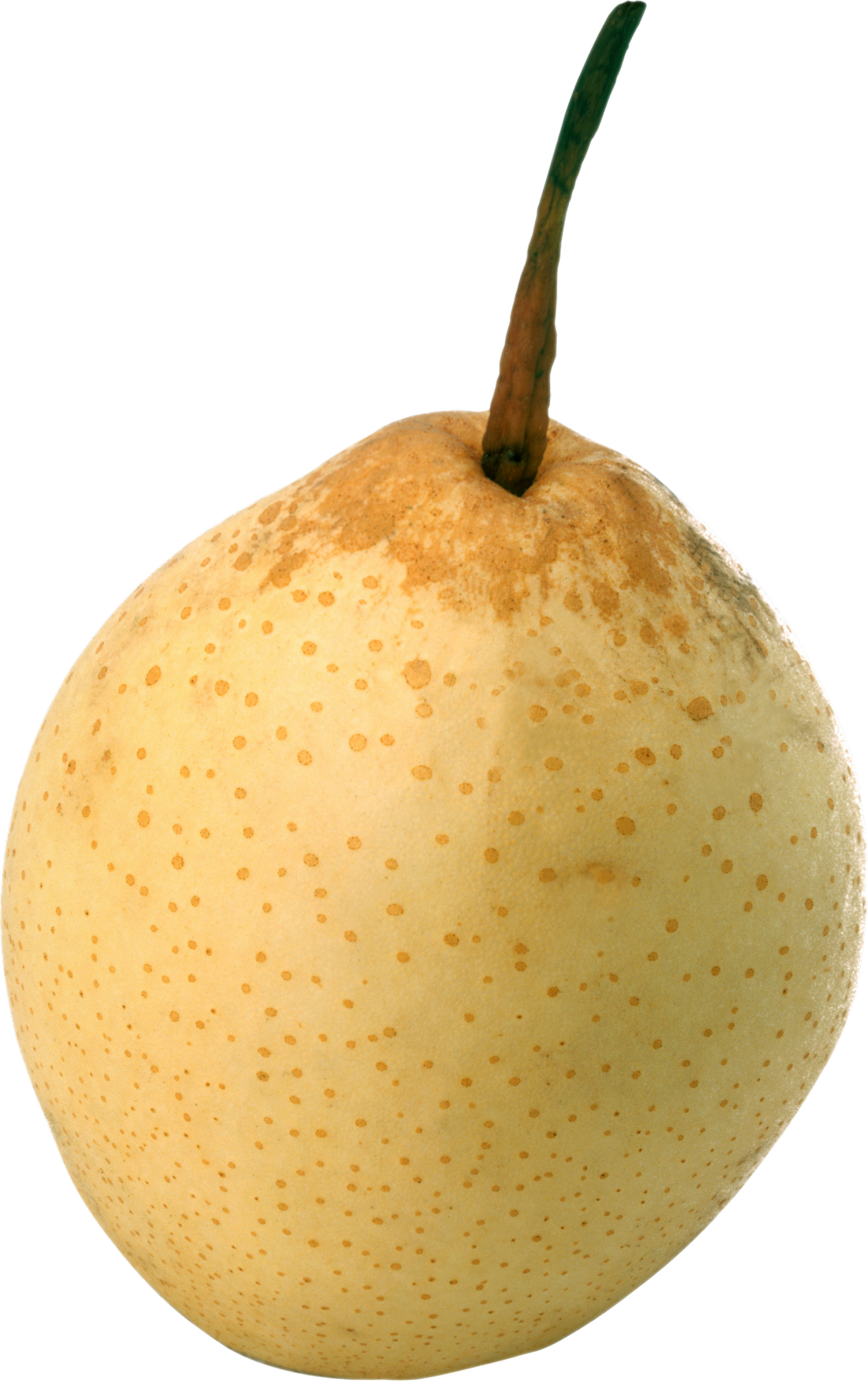 Pear - Pear In Transparent Background Clipart (1100x1750), Png Download