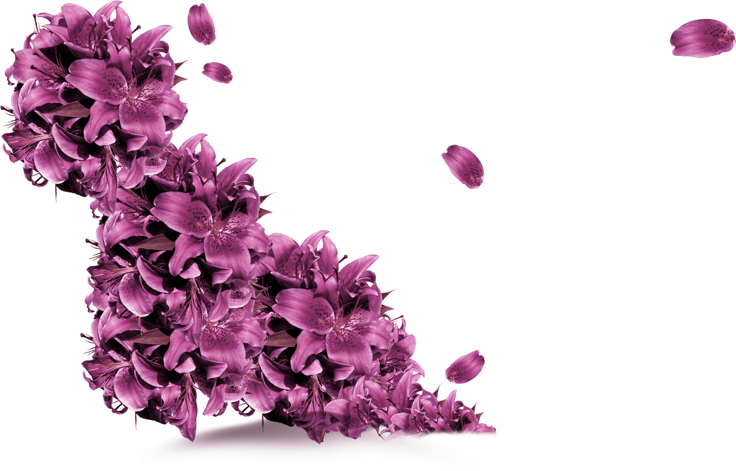 Clip Library Stock Purple Flower Flying Decorative - Flower - Png Download (2340x1498), Png Download