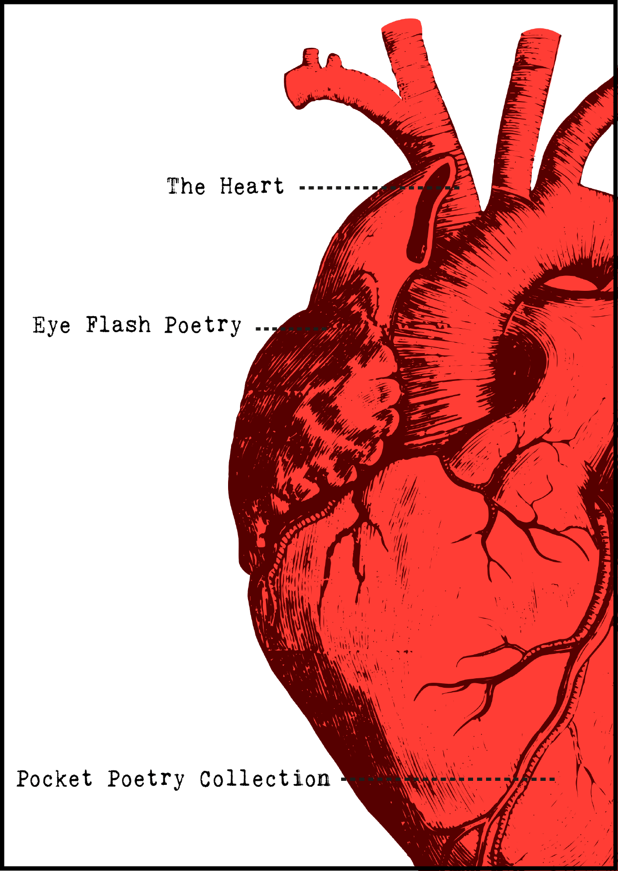 The Heart Pocket Poetry Collection - Cartoon Heart Anatomy Clipart (1241x1749), Png Download
