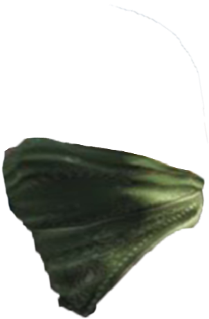 Model & Hair Png ➤ Download - Picsart Pubg Mask Png Clipart (692x768), Png Download