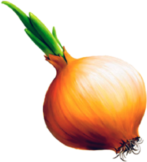 Onion Png Free Download - Детей Лук Clipart (600x556), Png Download