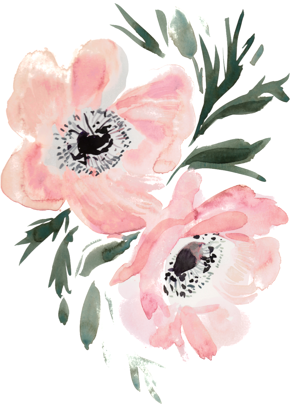 Slim Hand Painted Flowers Transparent Decorative Clipart (1011x1401), Png Download